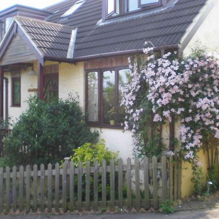 Skerries B And B Lyme Regis Buitenkant foto